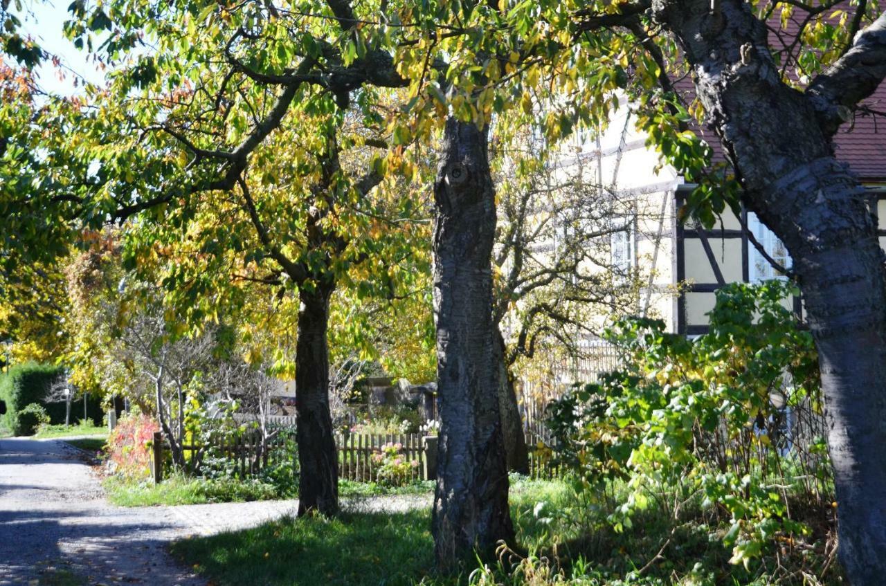 Hochlandappartement Drezda Kültér fotó